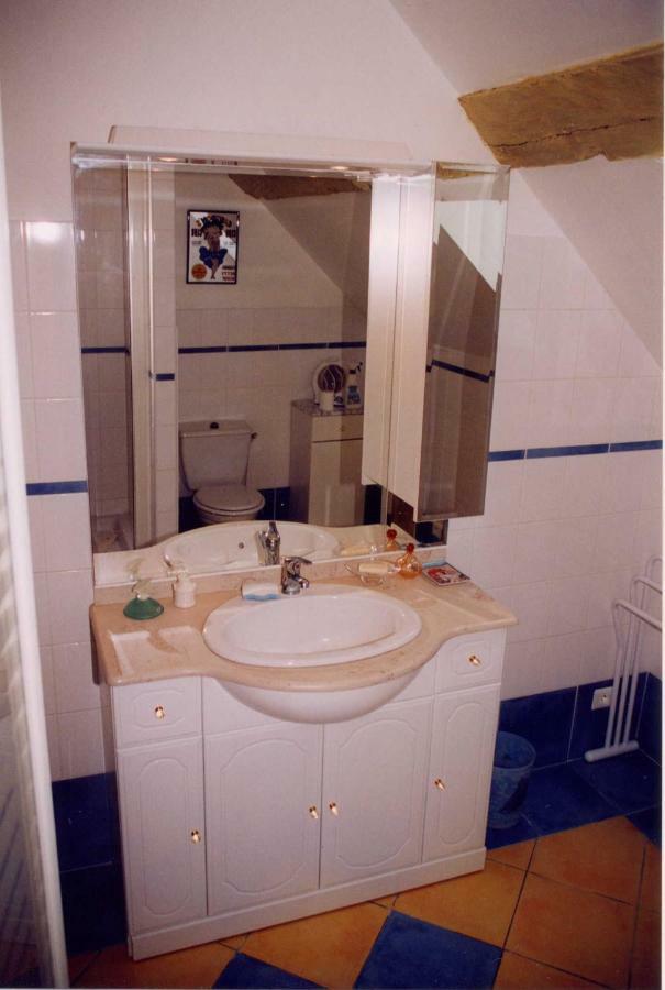 Gite Les Roseaux 123 Sologne Lassay-sur-Croisne Екстер'єр фото